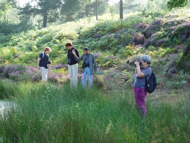 2007 08 Bois de Rochefort 29